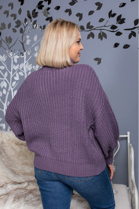 Curvy Chunky Purple Sweater